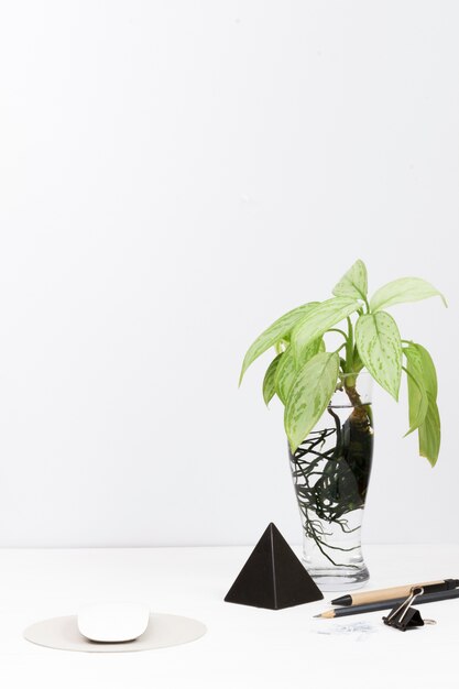 Free Photo contemporary workspace with plant in glass vase on desk 