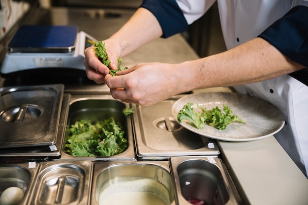 Free photo cook putting green lettuce on plate