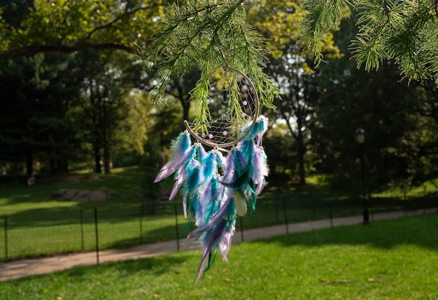 Free Photo cool dream catcher outdoors