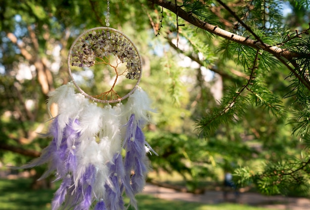 Free photo cool dream catcher outdoors