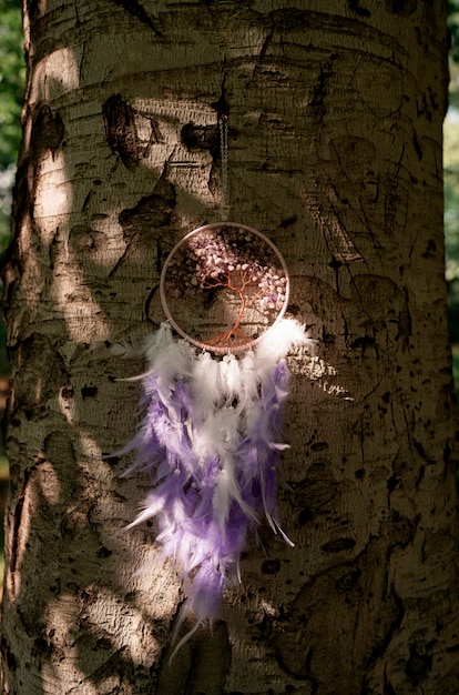 Free photo cool dream catcher outdoors