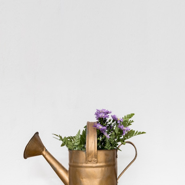 Free Photo copper watering can with flowers