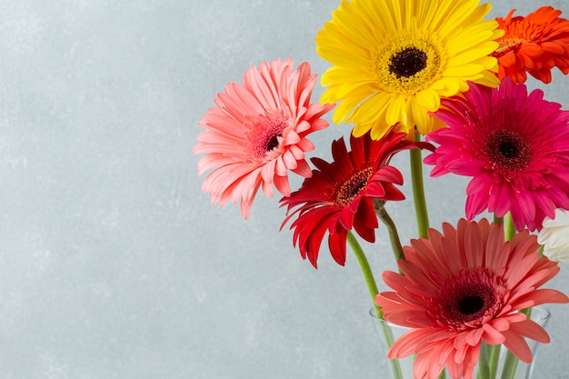 Free Photo copy space background with gerbera flowers