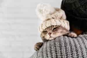 Free photo copy-space cute cat wearinf fur cap in winter