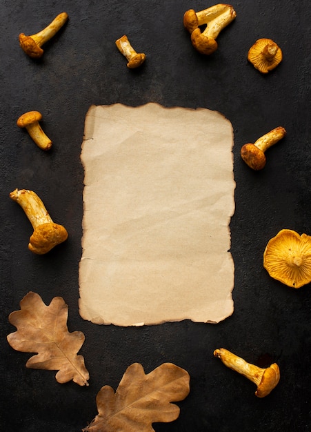 Free Photo copy space paper surrounded by mushrooms