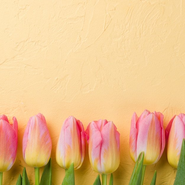 Free Photo copy-space pink tulips on table