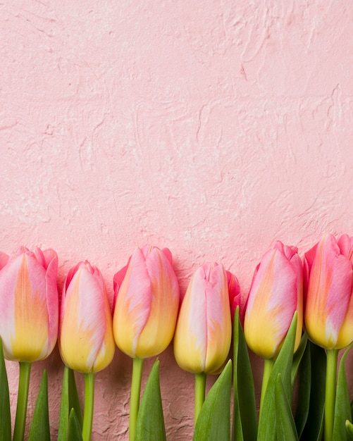 Free photo copy-space tulips aligned on table