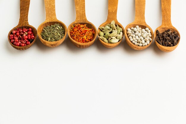 Copy-space variety of spices in wooden spoons