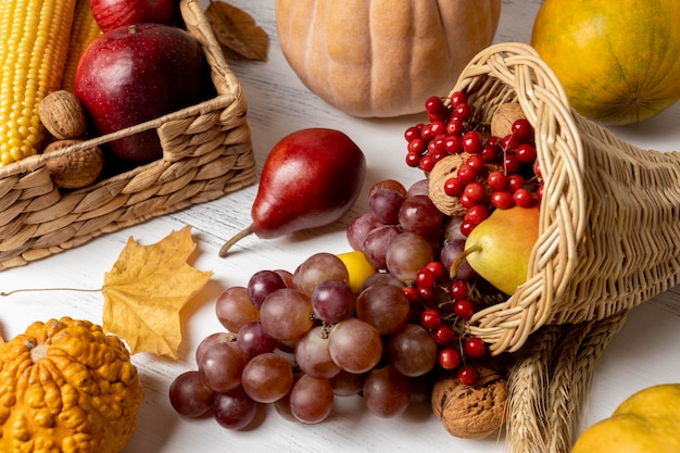 Cornucopia composition with delicious foods