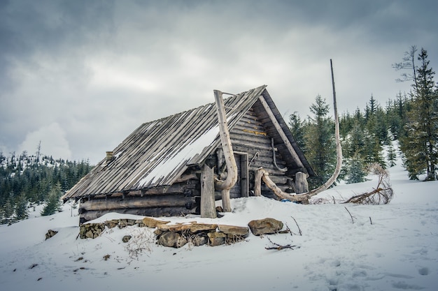 Free photo cottage in the barania hall