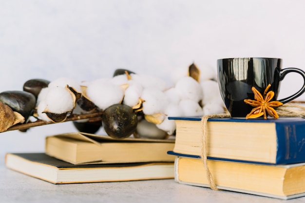 Cotton branch with book pile