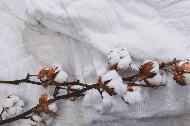 Free photo cotton flowers on towels