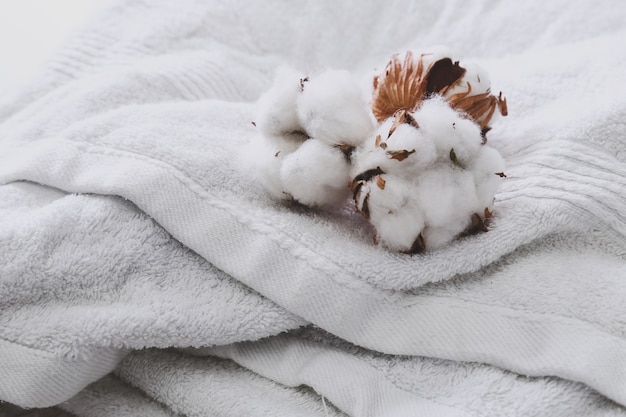 Free Photo cotton flowers on towels