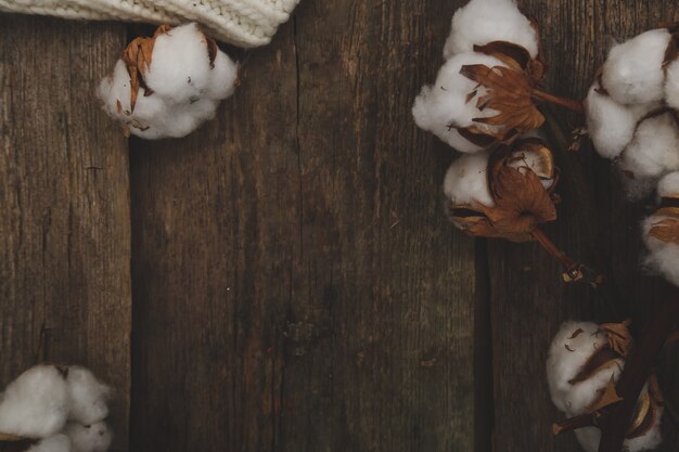 Cotton flowers on wooden table