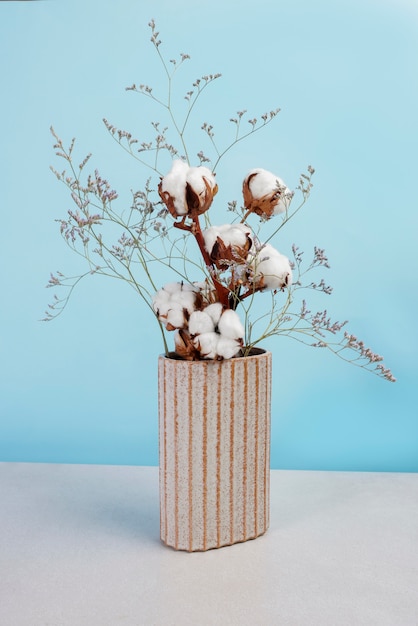 Free Photo cotton plants still life