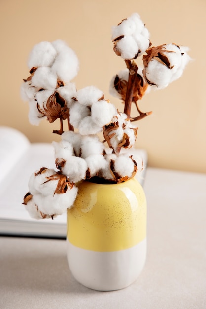 Free Photo cotton plants still life