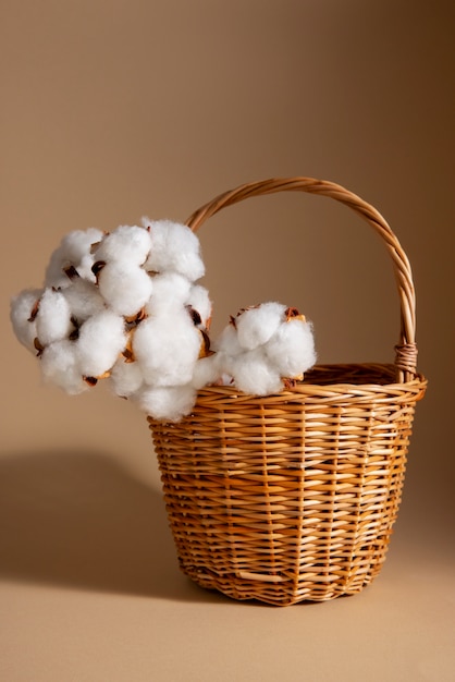 Free photo cotton plants still life