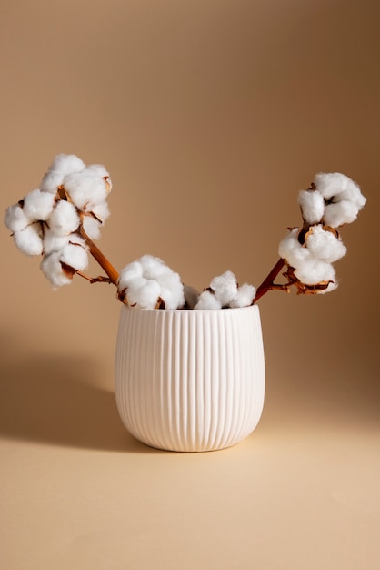 Free Photo cotton plants still life