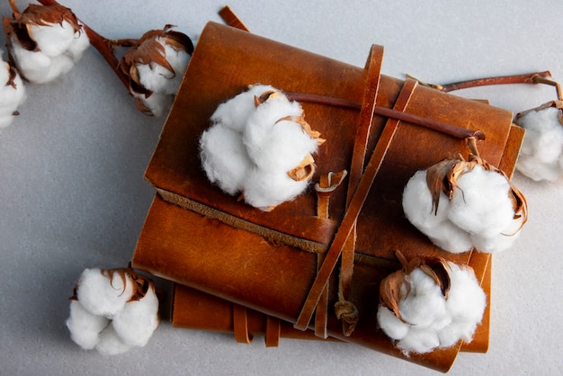 Cotton plants still life