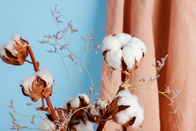 Free photo cotton plants still life