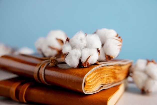 Free photo cotton plants still life