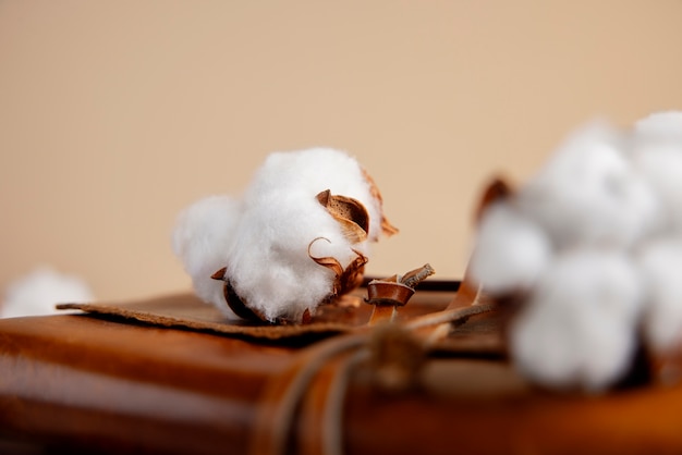 Free Photo cotton plants still life