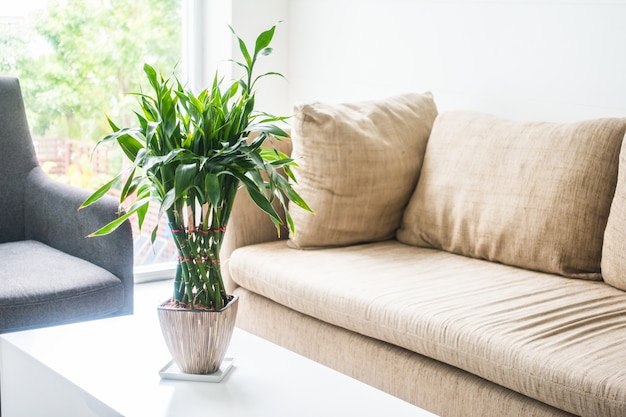 Free photo couchs with a plant in the middle on a table