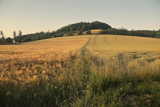 Free Photo countryside landscape, tuscany, italy