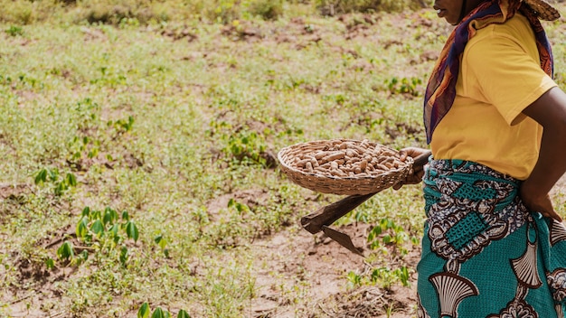 Free photo countryside worker holding basket with peanuts