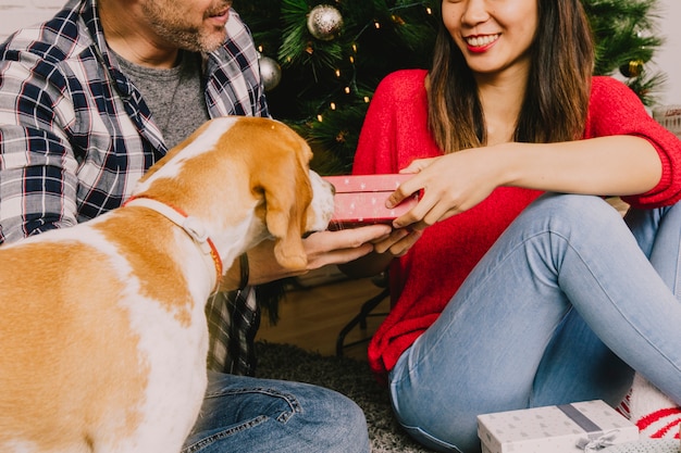 Free photo couple celebrating christmas with their dog