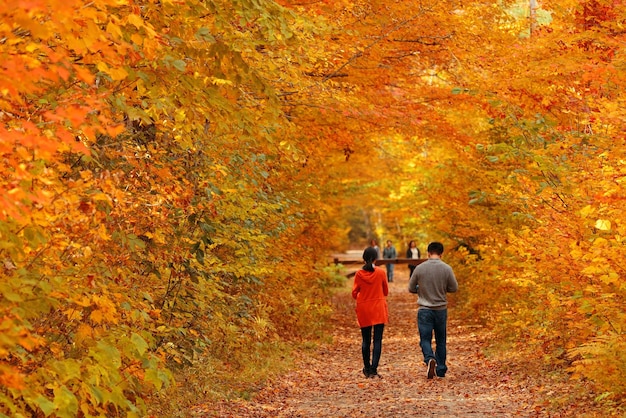 Couple in colorful woods with Autumn foliage in Vermont