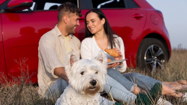 Couple eating outdoors with dog