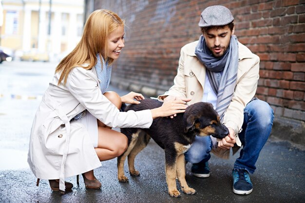 Couple having a nice evening with their pet