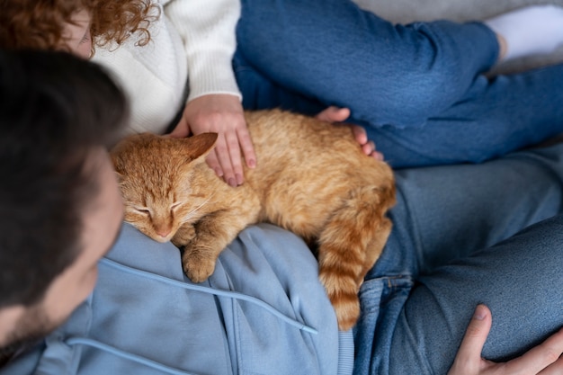 Free photo couple holding cute sleeping cat