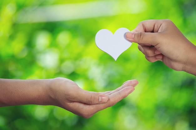 Couple holding hands in green meadow.