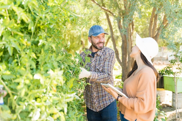 Couple talking while examining plants with digital tablet at vegetable garden