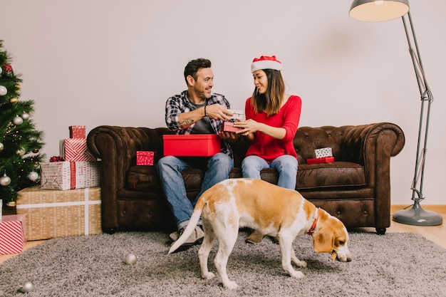 Free Photo couple with dog at christmas