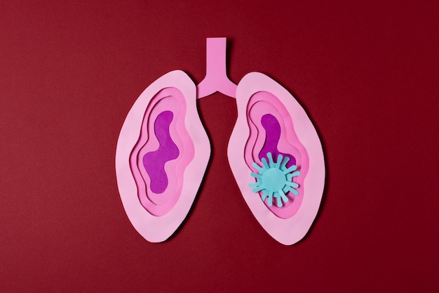 Free photo covid concept with pink lungs above view