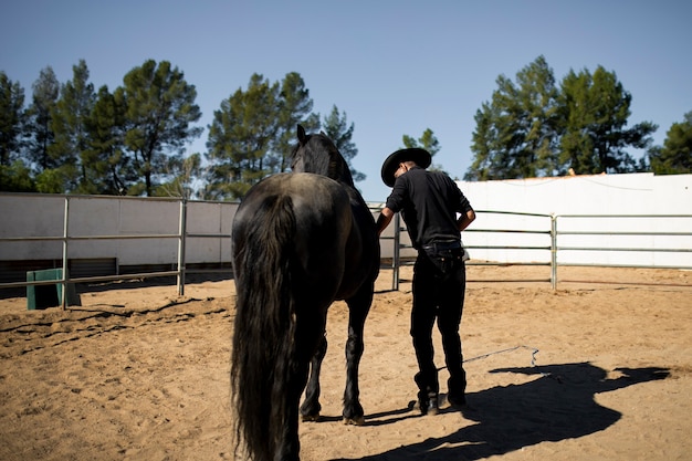 Cowboy silhouette with horse against warm light