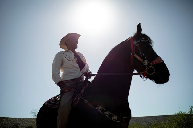 Cowboy silhouette with horse against warm light