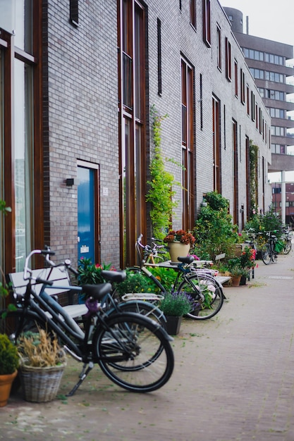 Free photo cozy courtyards of amsterdam, benches, bicycles, flowers in tubs.