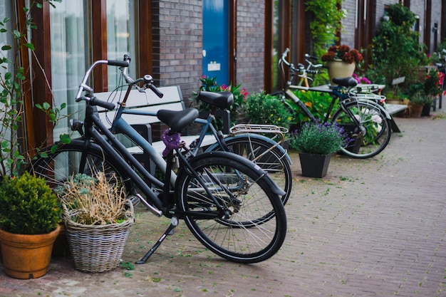 Free photo cozy courtyards of amsterdam, benches, bicycles, flowers in tubs.