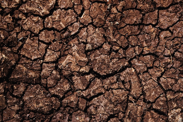 Free Photo cracked dry brown soil surface photography