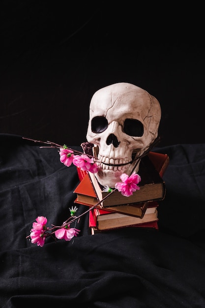 Free Photo cranium with plastic flowers on pile of tomes