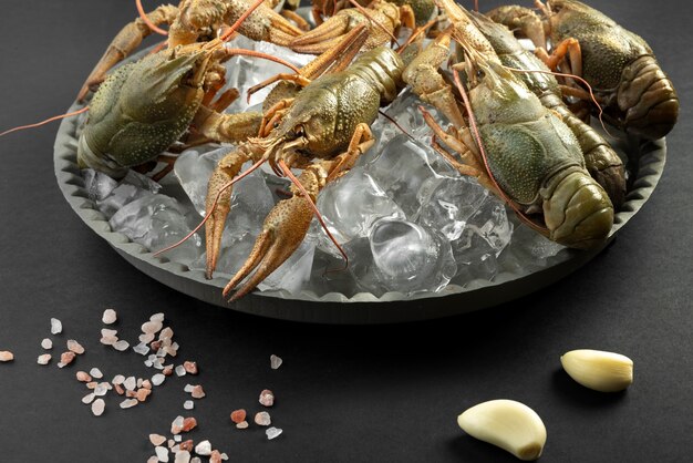 Crawfish with ice cubes in a bowl