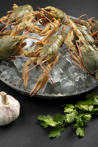 Free photo crawfish with ice cubes in a bowl