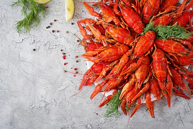 Free photo crayfish. red boiled crawfishes on table in rustic style, closeup. lobster closeup. border desig. top view