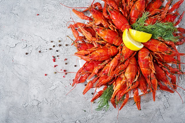 Free photo crayfish. red boiled crawfishes on table in rustic style, closeup. lobster closeup. border desig. top view