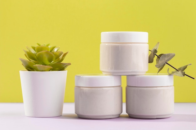 Free photo cream containers with potted plant