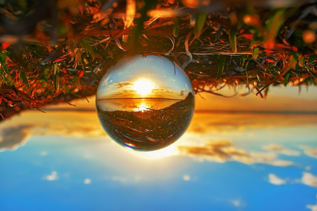 Free Photo creative crystal lens ball photography of greenery and a lake at sunset